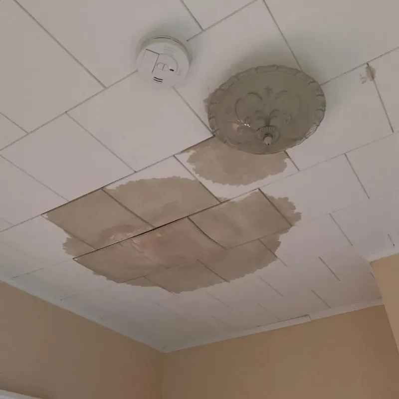 Ceiling Water Damage Repair in Jefferson County, KS