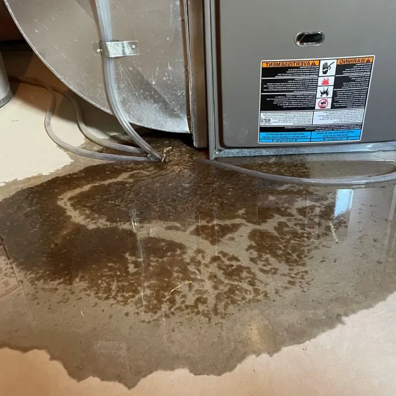 Pipe Burst and Leak Restoration in Jefferson County, KS